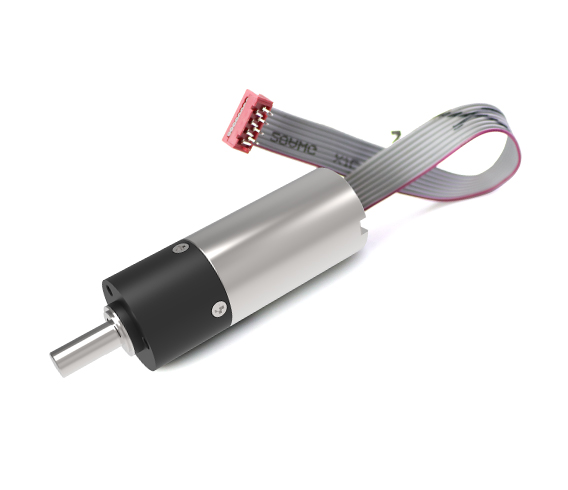 ��Ƶ���ߵ��