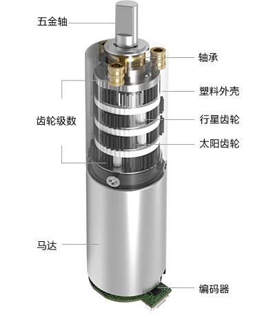 22MM���ٳ�����